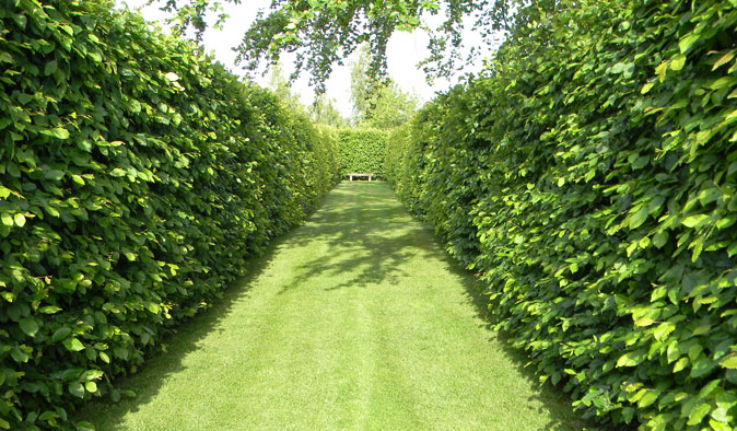 A garden design in Northamptonshire