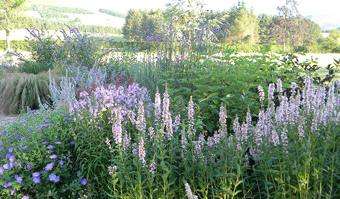 A garden design in East Lothian